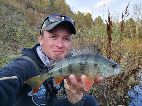 Спиннинг Crazy Fish Arion 702 uls - #недобзор и некоторые мысли о...