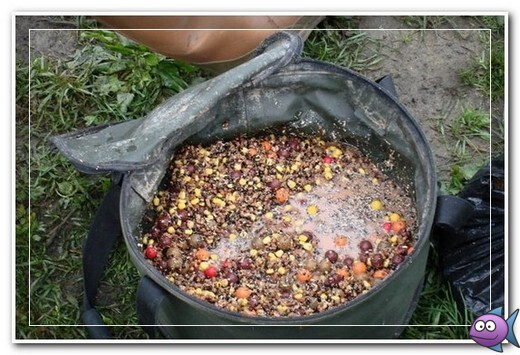 Домашняя прикормка для рыбалки