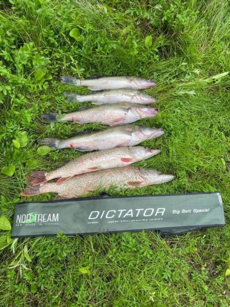 Тест-драйв спиннинга Norstream Dictator DTS-842XH