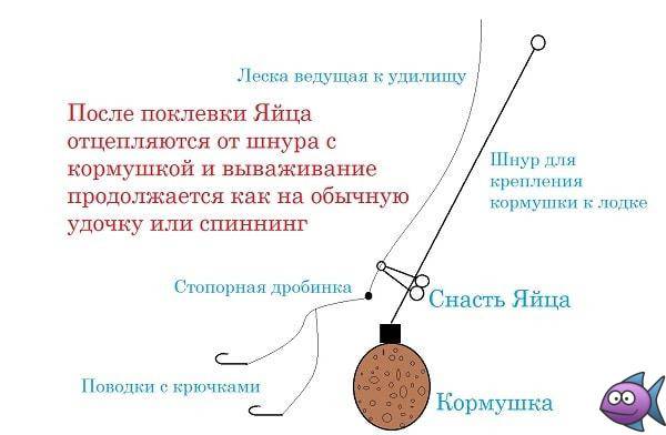 Ловля леща с лодки