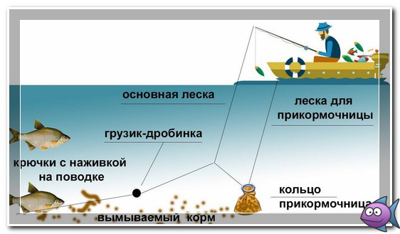 Ловля леща с лодки