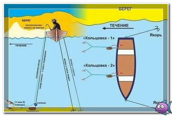 Ловля леща с лодки