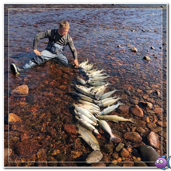 Снасти для ловли горбуши