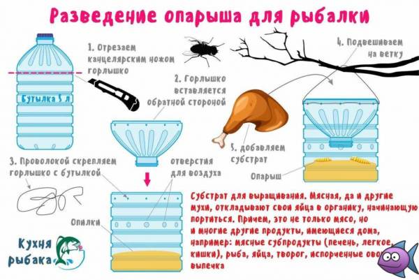 Опарыш для рыбалки