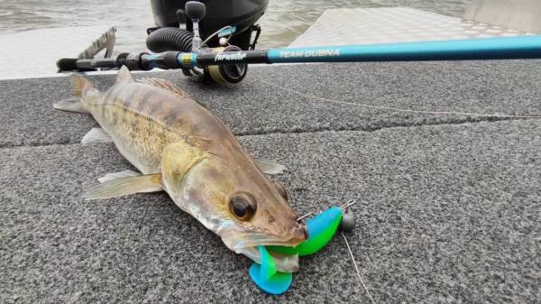 JIG IT TEAM DUBNA FARWATER TDF-862H 260 см, 14-56 г. “Найти, подсечь, достать!”