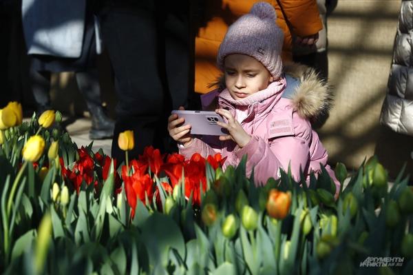 Роскошь на клумбе. Топ-10 тюльпанов, которые можно вырастить у себя в саду